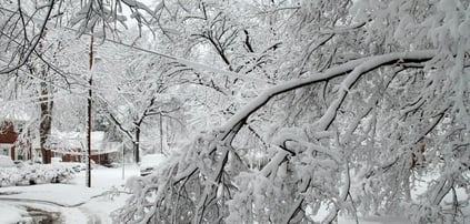 Plan Ahead and Prepare Your Business For Winter